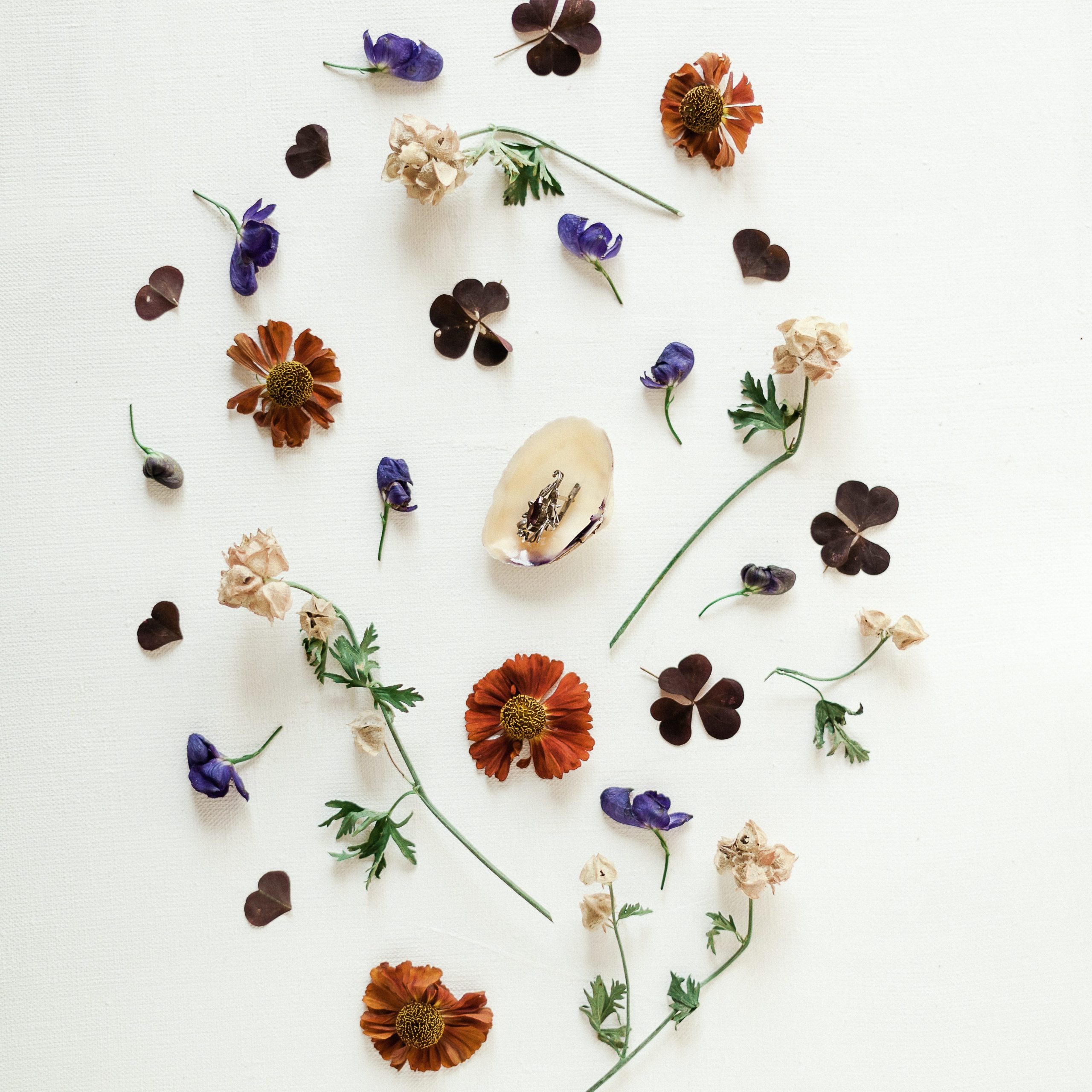 flower petals and stems on a white background
